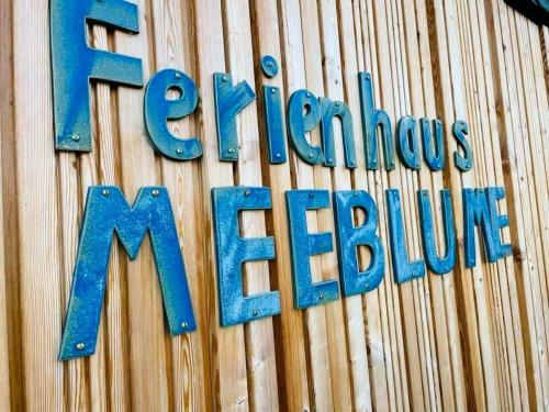 Viesnīcas āriene, Ferienhaus Meeblume in Rietschen