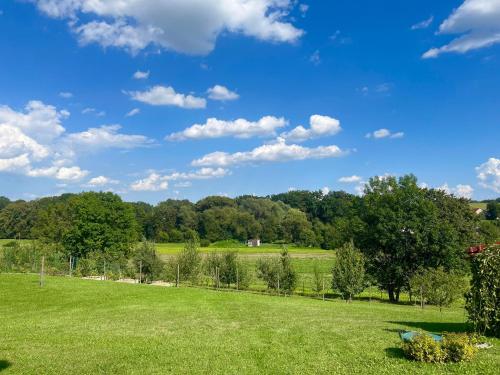 Penzion Bez Modrého Páva - image 11