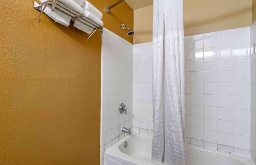 Extended Stay America Select Suites - Tampa - North Airport - 화장실