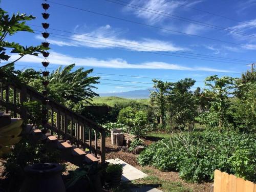 A környék, Garden Oasis at Banana Hale Studio in Waimea (HI)