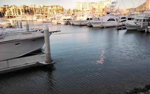 TESCondoRO in Cabo San Lucas, Mexico