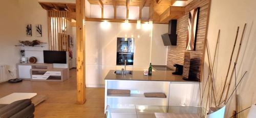 El Jilguero de Pechon El Jilguero de Pechon