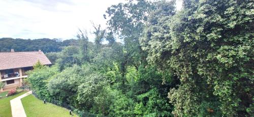 El Jilguero de Pechon El Jilguero de Pechon