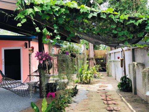 Guesthouse Maya Coconut Garden Guesthouse Maya Coconut Garden