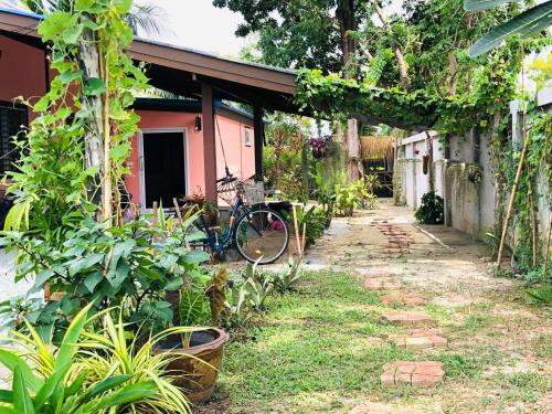 Guesthouse Maya Coconut Garden Guesthouse Maya Coconut Garden