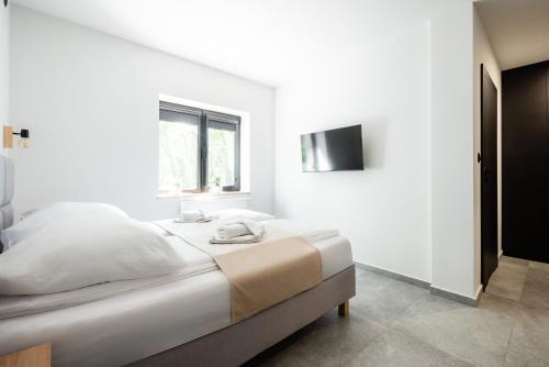 Studio Apartment image 4