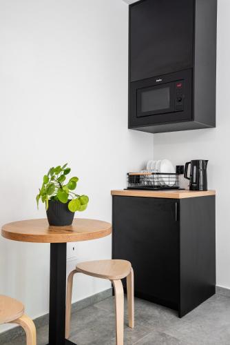 Studio Apartment image 5