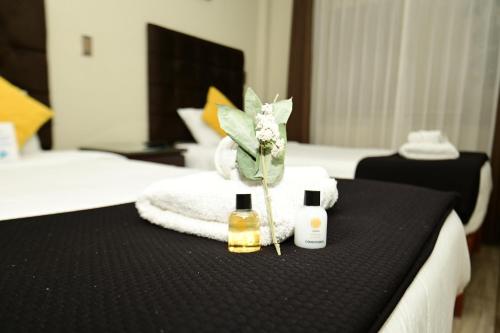 Twin Room room in Bon Repos Boutique