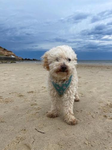 Bay Views and Sunsets