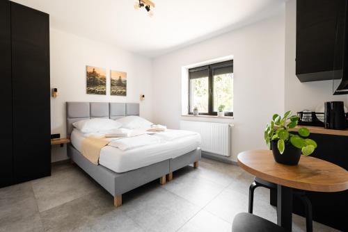 Studio Apartment room in Apartamenty ZakoCHata Zakopane