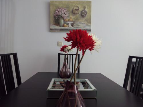 Apartamentos Decada Malaga, Malaga (foto 7)