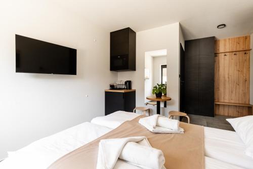Studio Apartment image 6