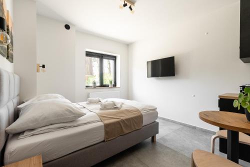 Studio Apartment image 5