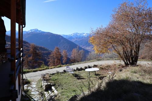 tuin, Chalet Lana in sonniger, ruhiger Lage in Mase