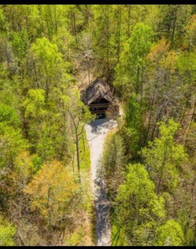 Hidden Joy, Cartertown (fotografie 9)