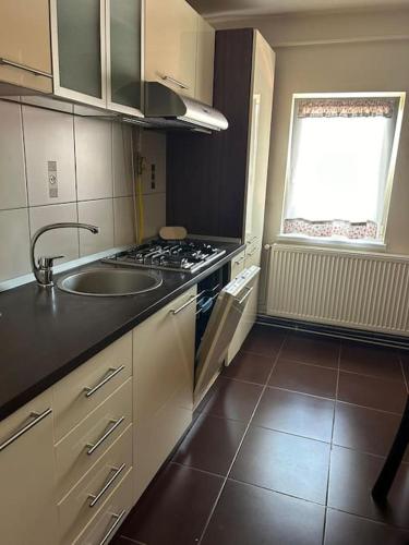 Apartament in Lugoj Gabriela in ลูกอจ