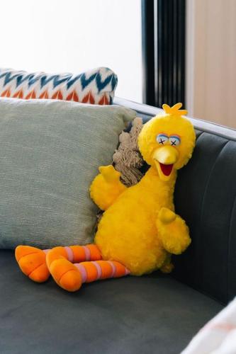 modern apartment in the heart of Norman Park