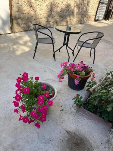 NewHome, Chişinău (foto 10)