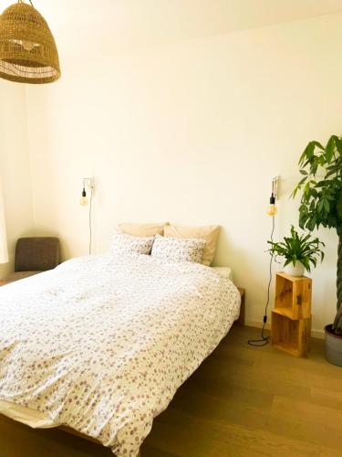 Appartement op top locatie in Antwerpen, Amberes (foto 4)