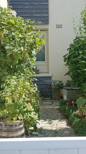 JOCONDIENNEHouse in Joue-les-Tours