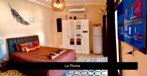 La Plume 4