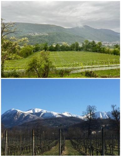 razgled, Horatius home in Breganzona