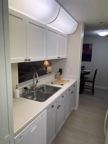 One-Bedroom Apartment image 10