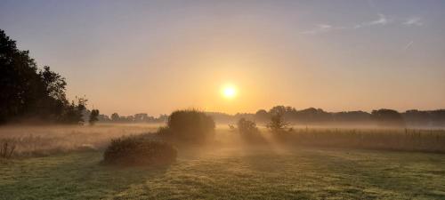 B&B D'Hollehoeve - image 10