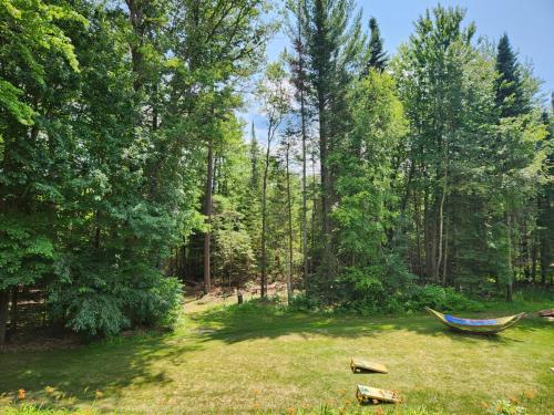 Springbrook Inn Cedar Trail in Houghton Lake (MI)