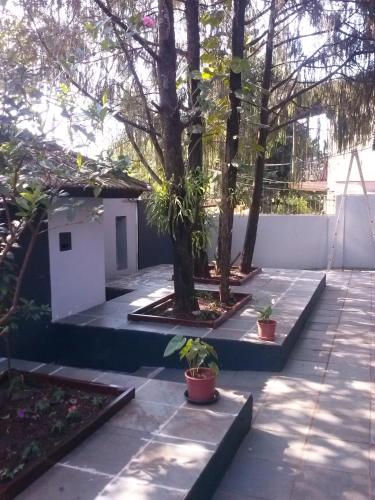 Petit Hotel Caraguata – Puerto Iguazu, FL