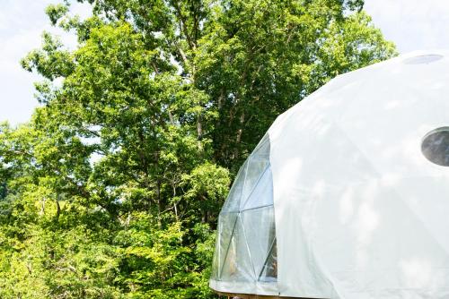 Glamping Dome at The Riverstead - Greenbrier River in Alderson, USA