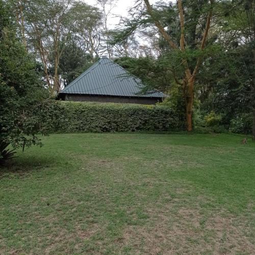 Cactus Eco Camp and Lodge in Lake Elementaita