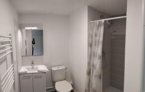 A4-12 Studio cosy toulouse, Toulouse (fotografie 3)