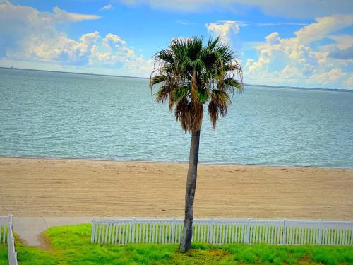 Sea Shell Inn on the Beach