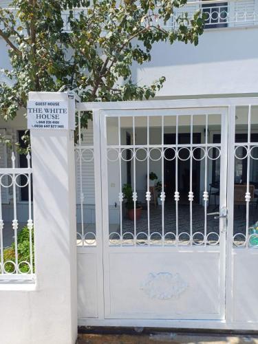 The White House in Divjake