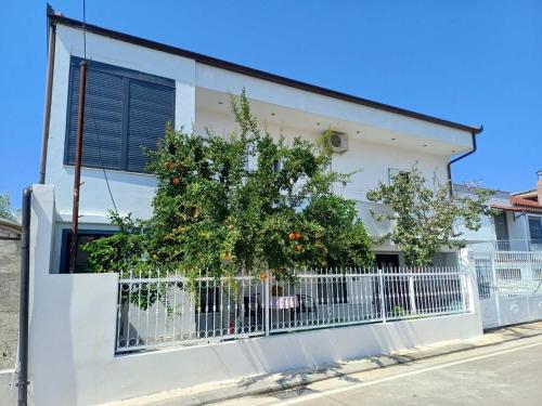The White House in Divjake