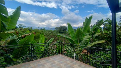 Apkārtne, Estancia Finca Cafetera El Paraiso in Calarca