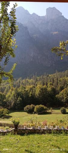 Bujtina Sherifaj - image 4