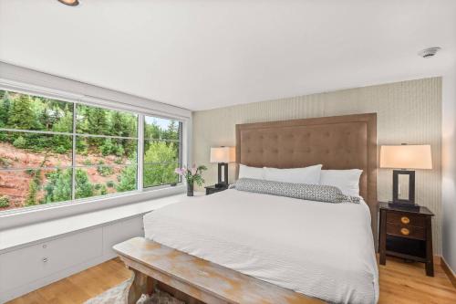 Le Chamonix #11 Aspen Highlands - image 10