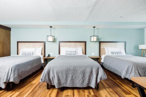 The Windstar Hotel - Carolina Beach - image 6