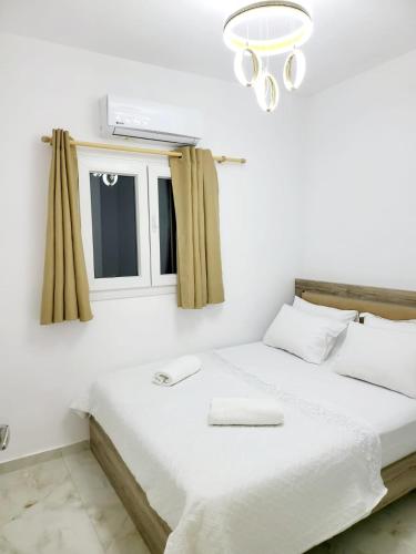 AHAMED GREEK SMPCO - main image