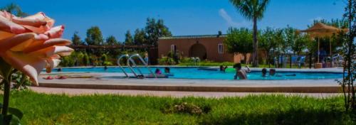 Benyakoub in 구에르시프