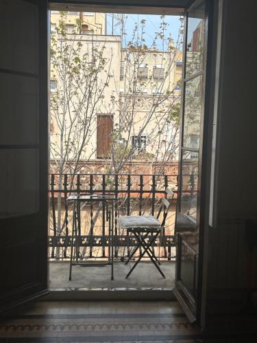 Leon, Barcelona (zdjęcie 5)