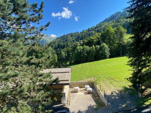 Duplex 3 chambres pour 6 pers proche village ski aux pieds - FR-1-459-230 - image 4