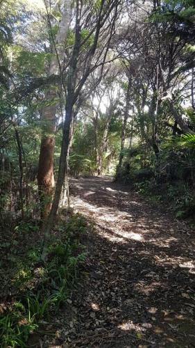 TWO IN THE BUSH - Stunning views, bush hideaway!