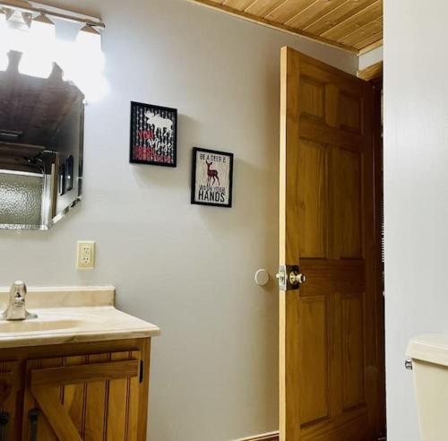 Rustic Black Bear Cabin in Pigeon Forge, USA