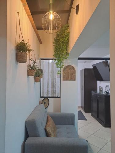 Casa Mamita Juana