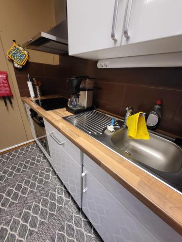 設施, Kokon Hovi in 考哈約基