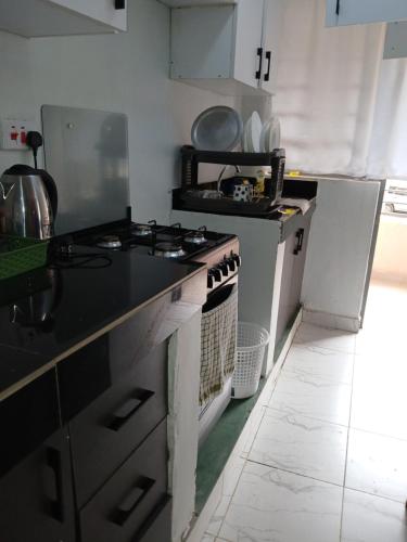 Carley cosy homes in Thika