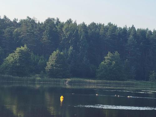 Malinowa Chatka Mostki Malinowa Chatka Mostki